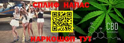 шишки Партизанск