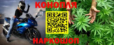 шишки Партизанск