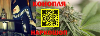 шишки Партизанск